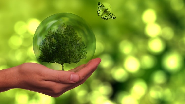 آموزش 2025 ESG MasterClass: راهنمای گزارش پایداری