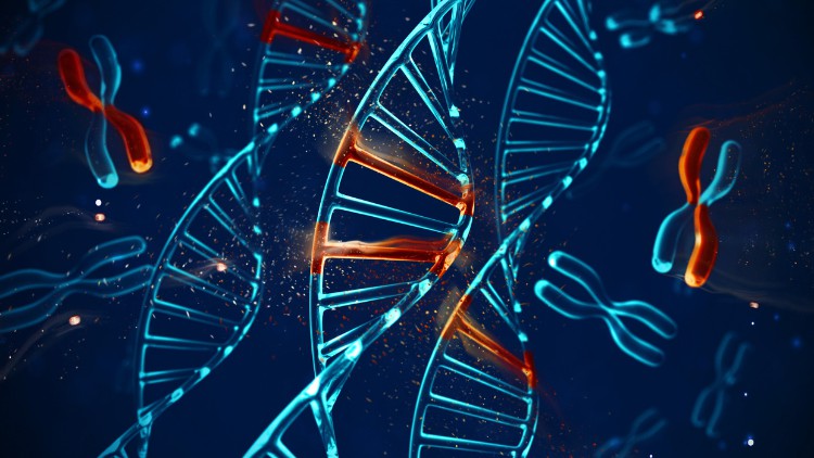 آموزش اصول زیست‌شناسی مولکولی و بیوتکنولوژی

