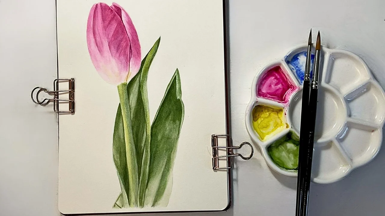 آموزش گام به گام نقاشی آبرنگ لاله صورتی واقعی

