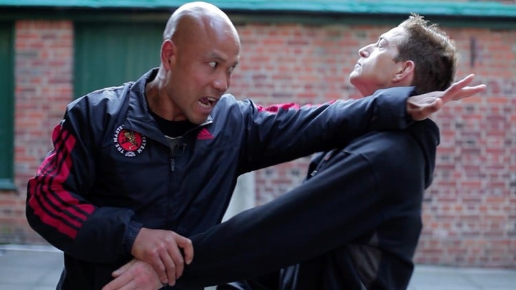 آموزش وینگ چون سیل لیم تائو
