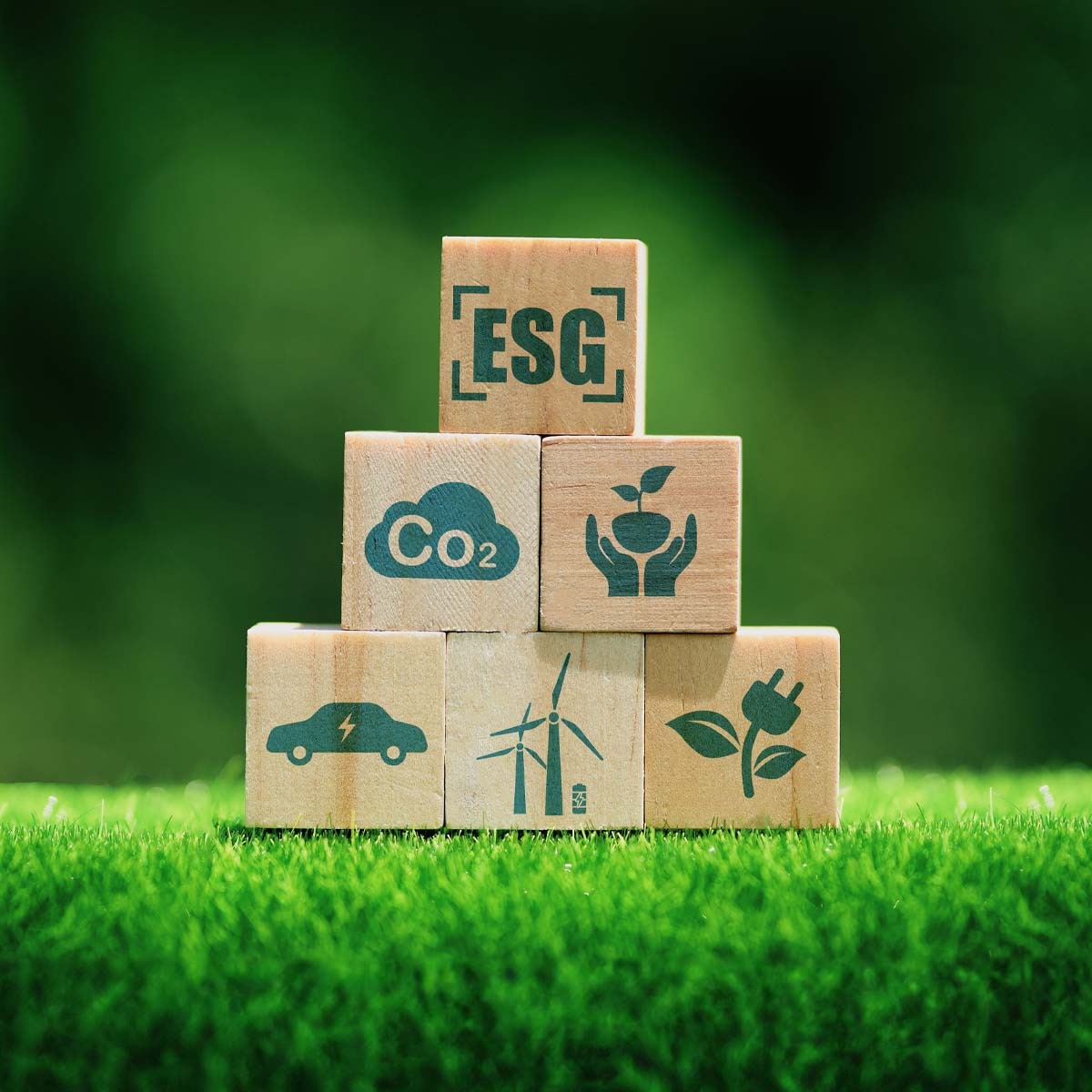 آموزش پایداری برای کسب‌وکار: اصول بنیادین ESG