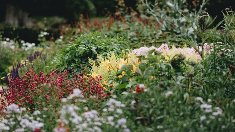 آموزش دوره طراحی فضای سبز
