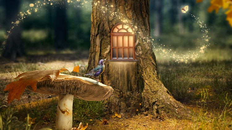 آموزش پریان، ارواح طبیعت و قلمرو عناصر

