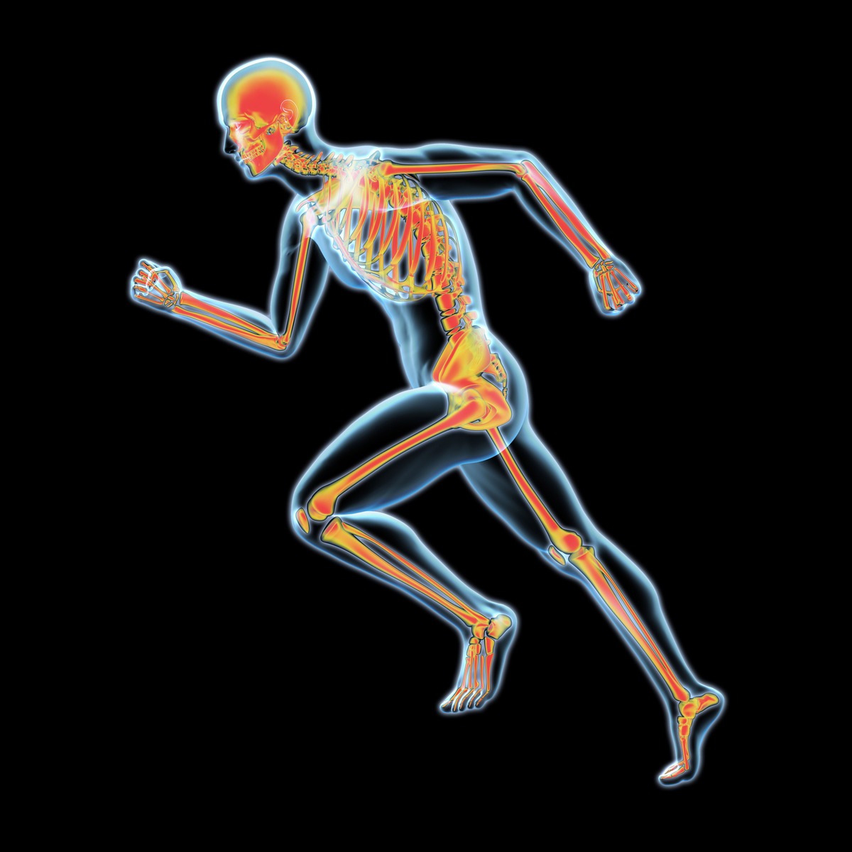 آموزش تحقیقات در مورد دوپای شدن (Bipedalism)