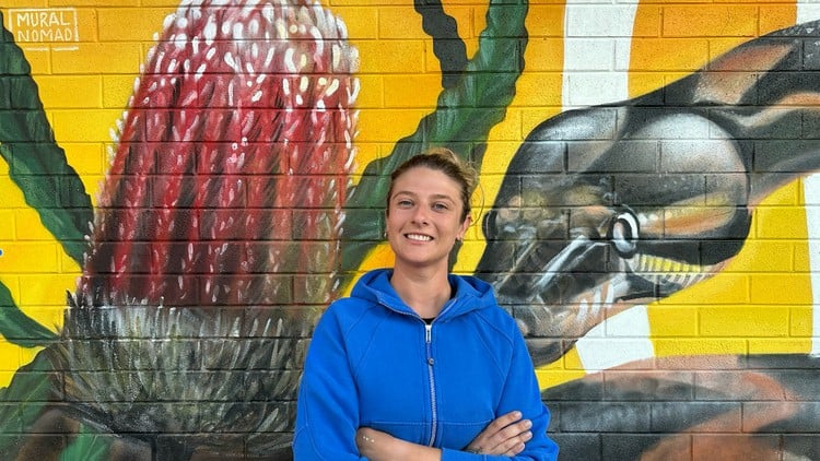 آموزش نقاشی دیواری: اصول و مبانی

