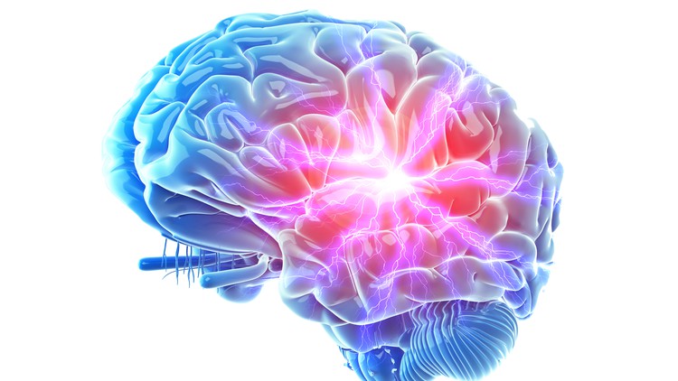 آموزش مبانی علوم اعصاب اختلال استرس پس از سانحه پیچیده (Complex PTSD) و بهبودی

