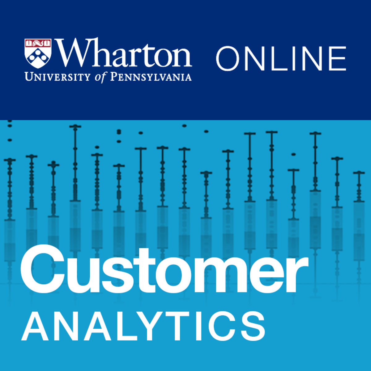 آموزش تحلیلگری مشتری (Customer Analytics)