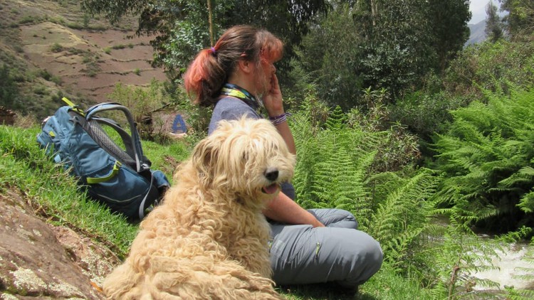 آموزش گواهینامه راهنمای اکوتراپی

