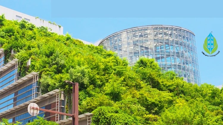 دوره آمادگی آزمون IGBC AP
