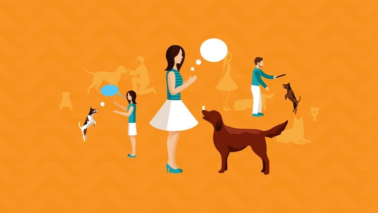 آموزش کارگاه دو روزه تربیت سگ: اعتمادپذیری و بازی‌ها
