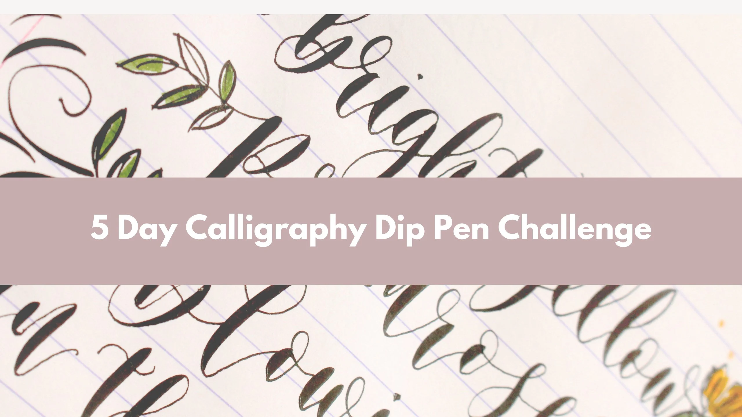 آموزش چالش 5 روزه خوشنویسی قلم‌نی: تقویت اعتماد به نفس، سبک و روان‌نویسی در خوشنویسی شما

