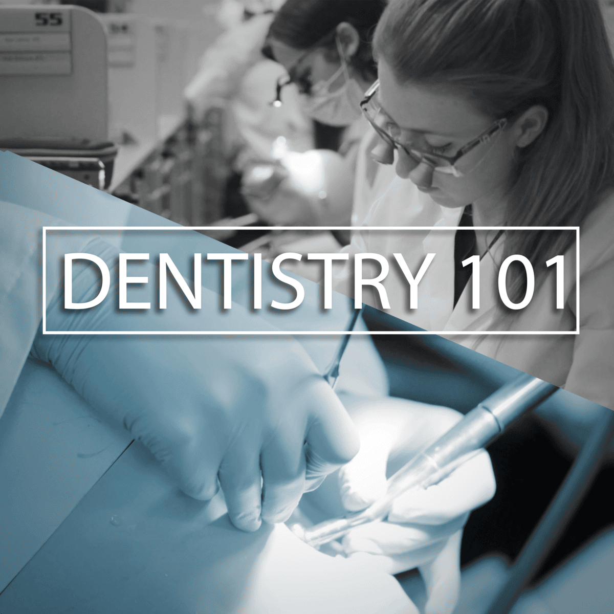 آموزش مبانی دندان‌پزشکی (Dentistry 101)