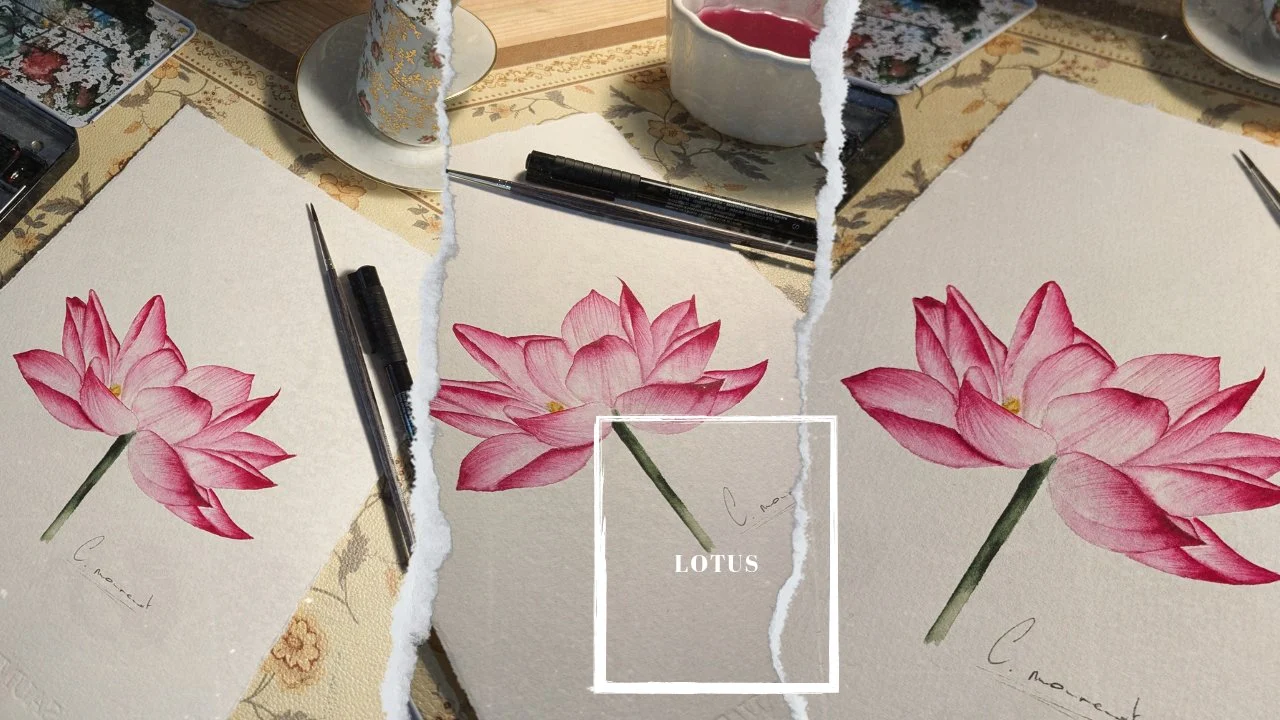 آموزش گل لوتوس مقدس آبرنگی واقع‌گرایانه برای تمام سطوح، سایه، نور و بافت
