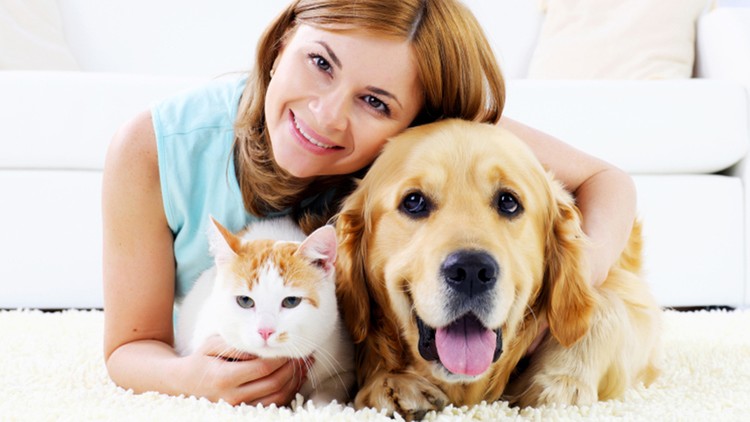 آموزش گواهینامه نگهداری حیوانات خانگی
