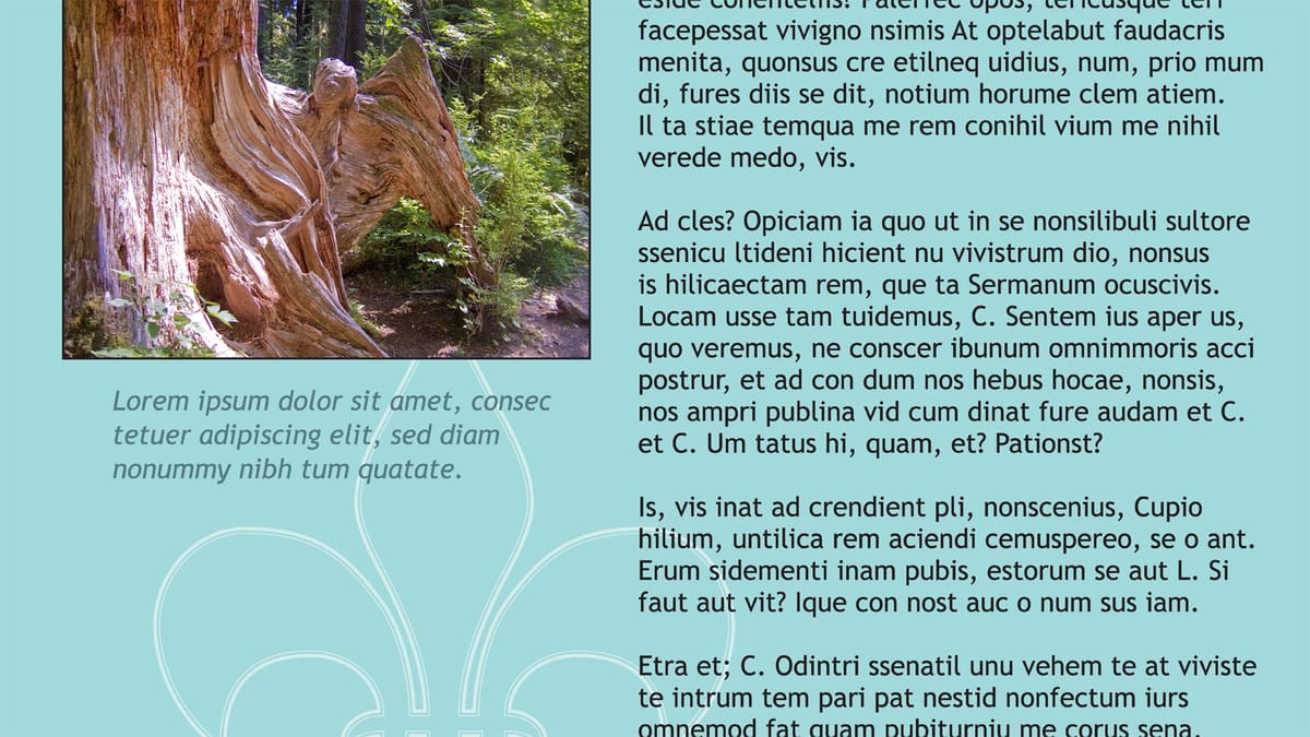 آموزش معرفی Indesign