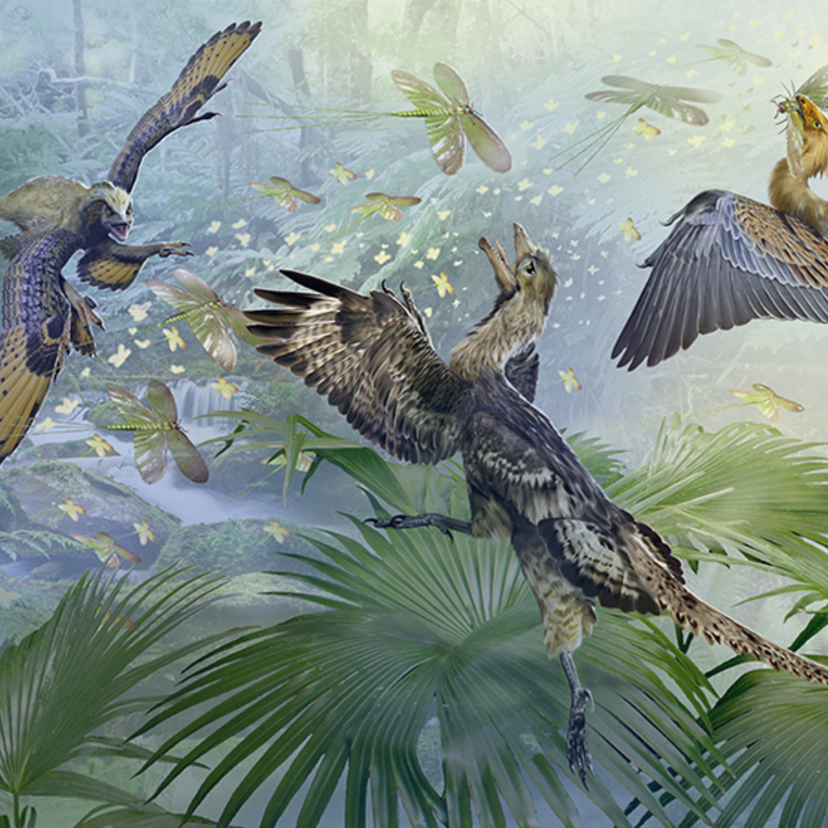 آموزش paleontology: دایناسورهای تروپود و منشأ پرندگان