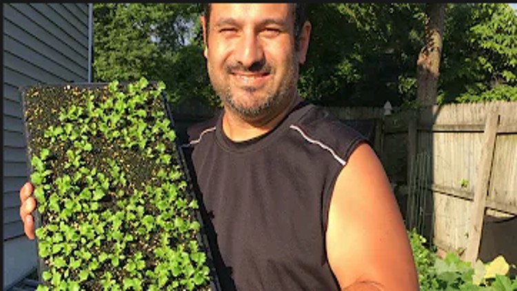 آموزش راه اندازی کسب و کار میکروگرین خودتان:

