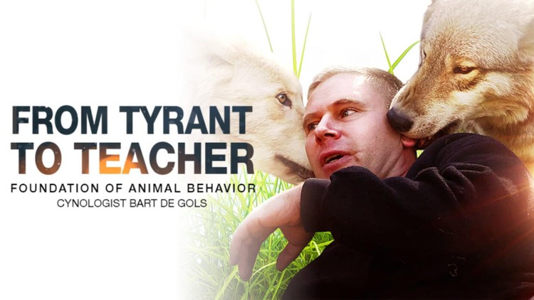 سگ ها چگونه یاد می گیرند؟ - اصول رفتار حیوانات و آموزش سگ

