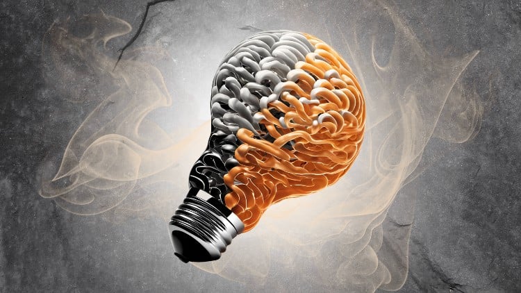 آموزش برنامه‌ریزی عصبی کلامی استاد مجری (پیشرفته)
