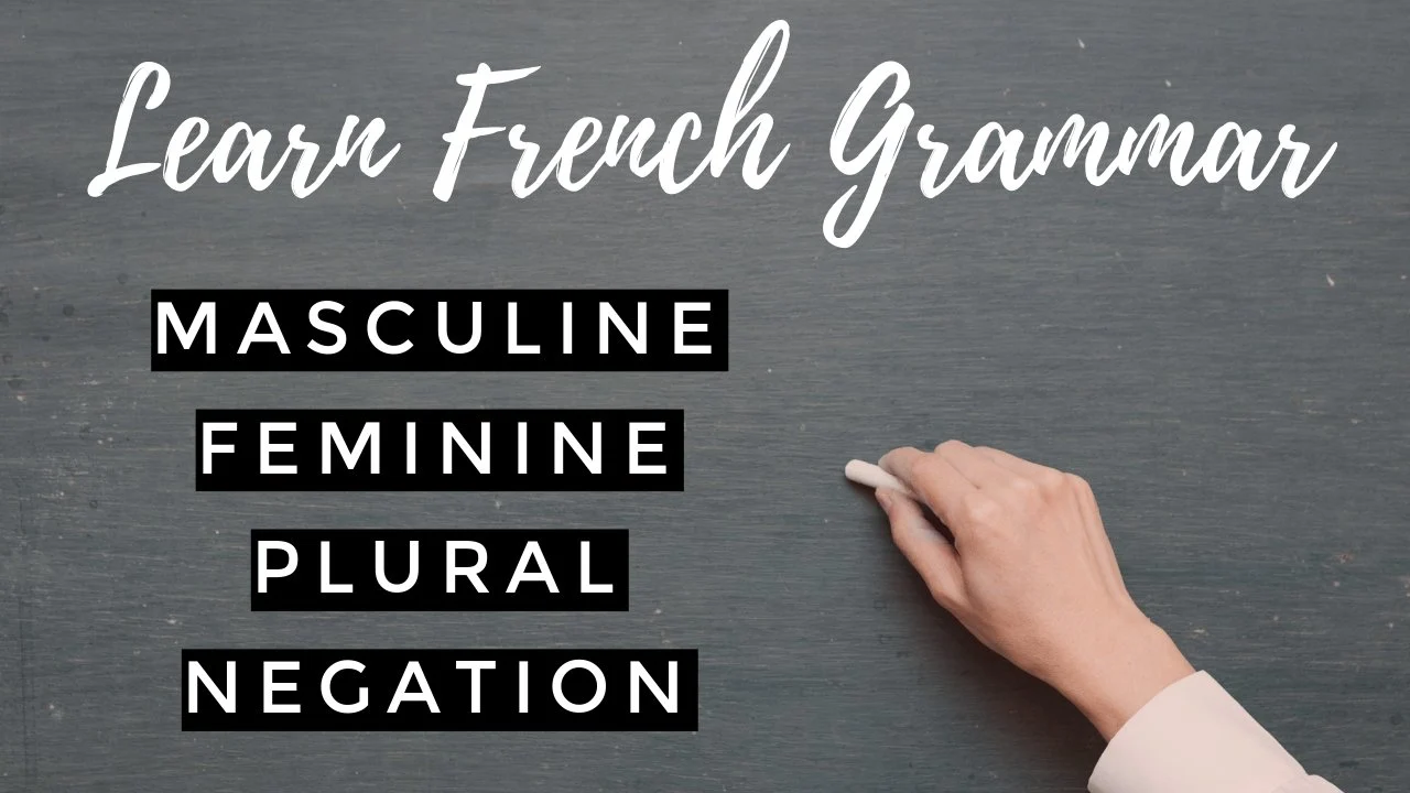 آموزش گرامر فرانسوی: مذکر، مونث، جمع و نفی
