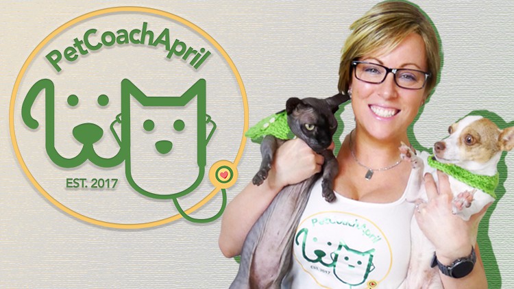 آموزش غذای خانگی حیوانات خانگی در چند دقیقه!
