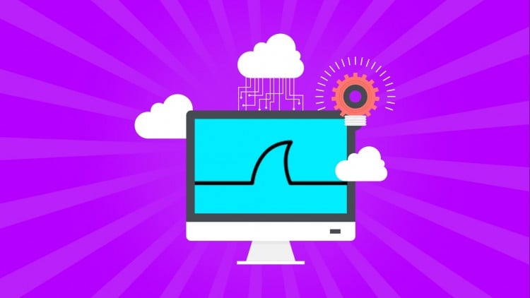 آموزش دوره فشرده وایراشارک

