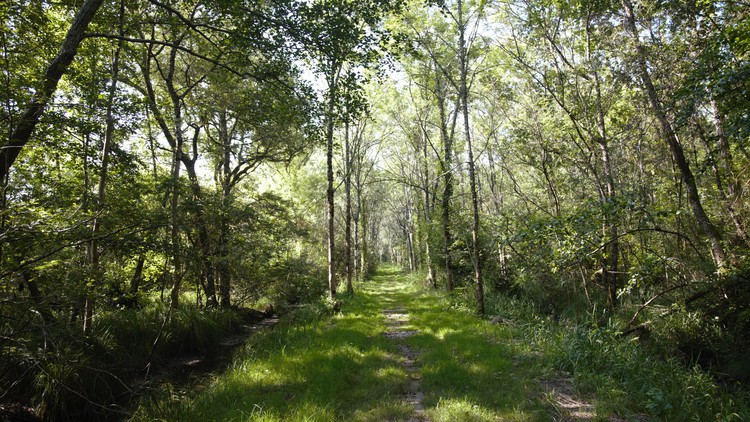 آموزش مدیریت ریسک اقلیمی، تحلیل سناریو، داده‌ها و سیستم‌ها

