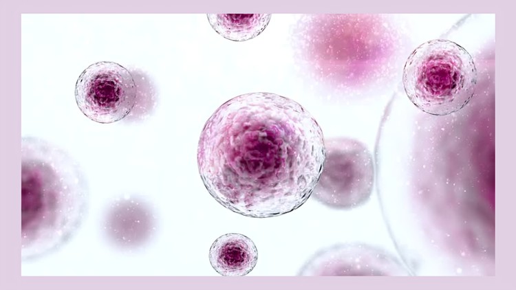 آموزش علم نوین: راهکار جامع سلامتی برای بیماری‌های مزمن

