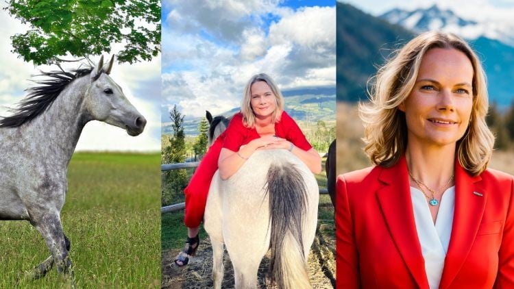 آموزش تکنیک‌های هارت‌مث برای دوستداران اسب: رابطه‌ای رویایی

