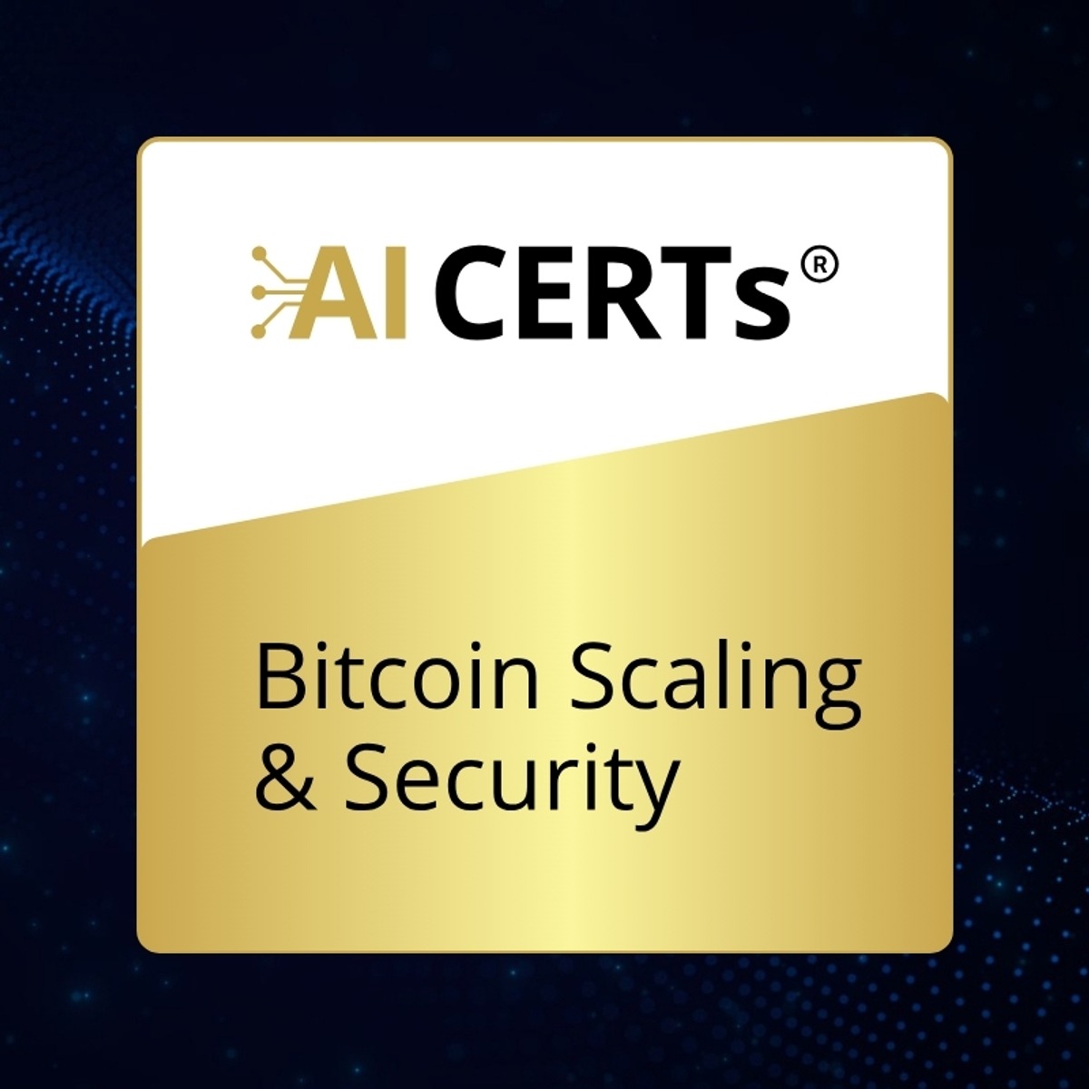آموزش مقیاس‌پذیری و امنیت بیت‌کوین