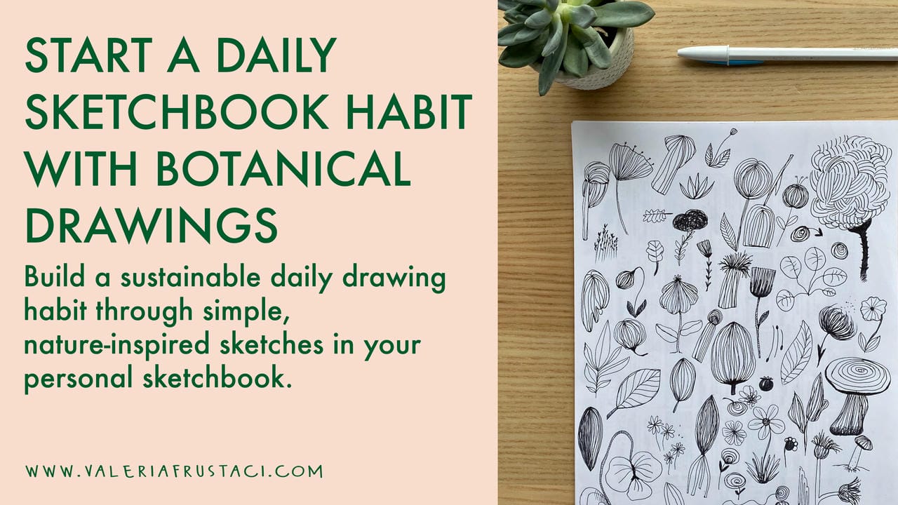 آموزش شروع عادت روزانه طراحی: نقاشی گیاه‌شناسی در دفتر طراحی
