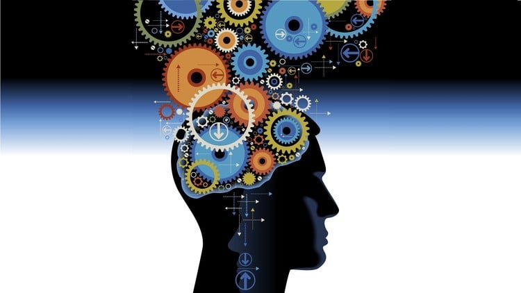 آموزش درمان شناختی رفتاری (CBT): برای روانشناسان و مربیان
