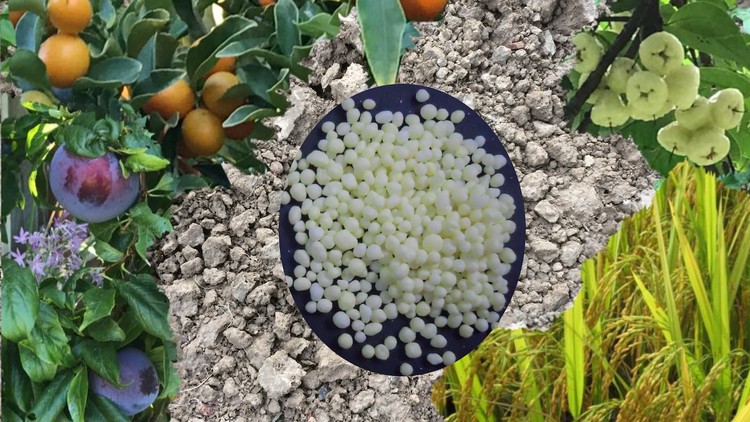 آموزش اصول کودها

