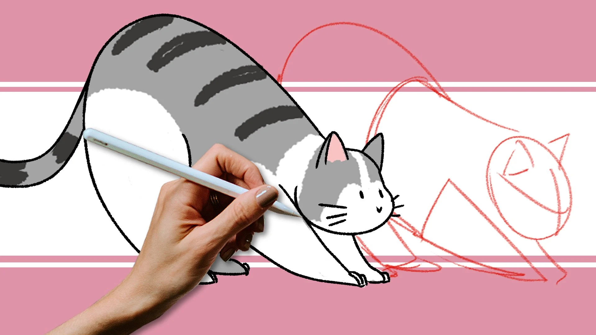 آموزش چالش نقاشی گربه ۷ روزه: از حالت‌های آرام تا حرکات بازیگوش
