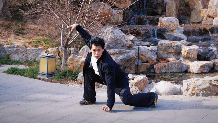 آموزش هنرهای رزمی باستانی چینی: کونگ فو مشت ببر برای مبتدیان
