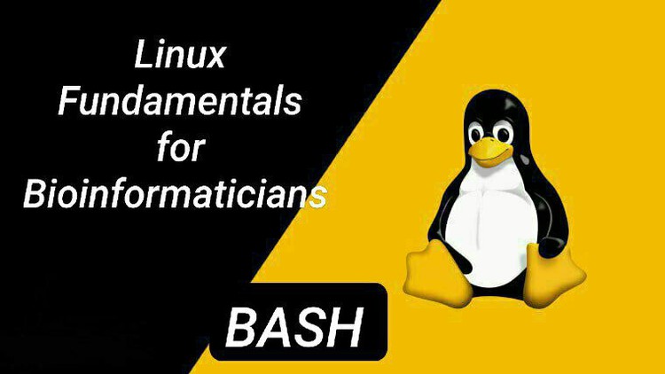 آموزش مبانی لینوکس برای بیوانفورماتیک: مهارتی ضروری

