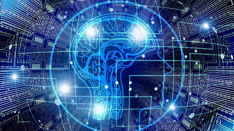 آموزش دیپلم تخصصی نوروپلاستیسیتی کاملاً معتبر
