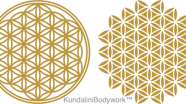 آموزش کوندالینی بادی‌ورک آنلاین لایت
