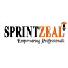 Sprintzeal Americas Inc