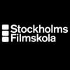 Stockholm Film School Fredrik Hiller