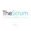 The Scrum Guru, PMP, RMP, ACP, SP, CAPM, PSM, CSM, PSPO, PSD, SPS, PSK